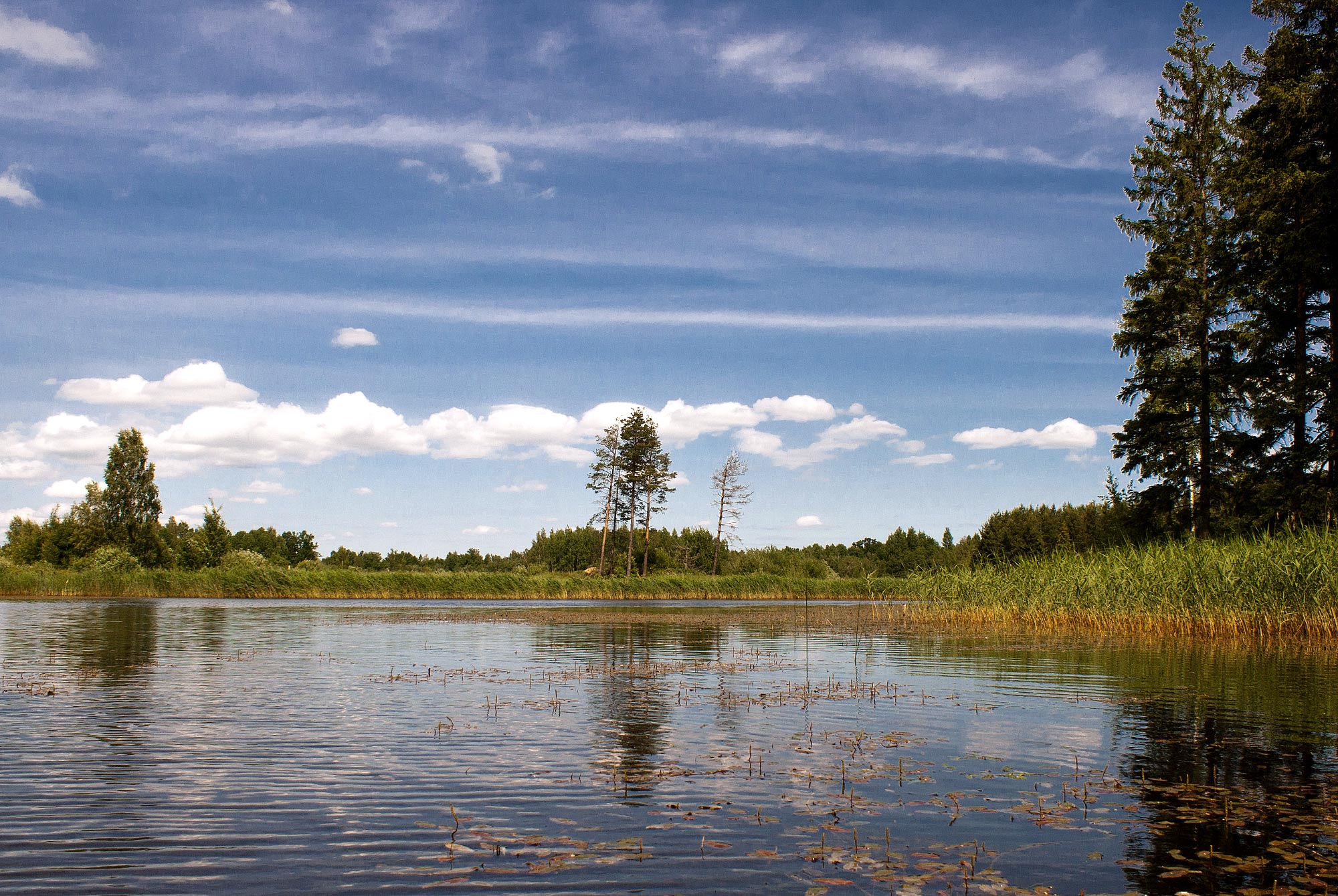Polisi, Kuldiga